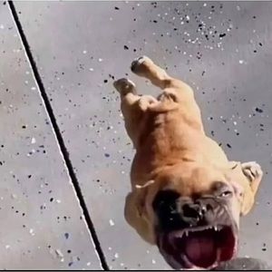 Meet your Posher, Nathan